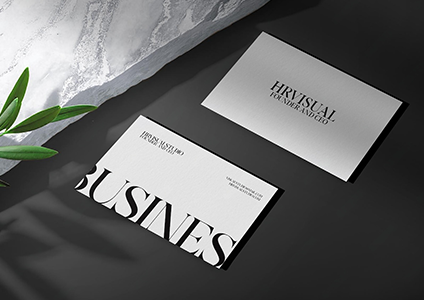 Brand Evolution Project